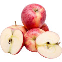 Apple Royal Gala