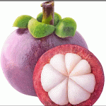 Mangosteen Indonesia