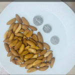 Mamra Almond AFGHANISTAN