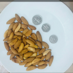 Mamra Almond AFGHANISTAN