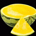 Watermelon Yellow Seedless