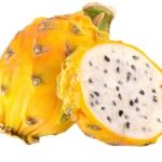 Dragon Fruit Yellow / Pithaya Yellow