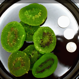 Dried Kiwi Slices