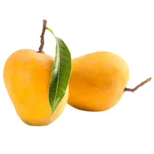 Alphonso Mango