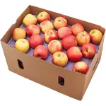 Apple Royal Gala Box