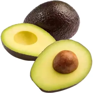 Avocado Periban Mexico