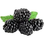 Black Berry