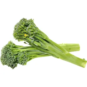 Broccolini