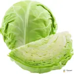 Cabbage White Organic