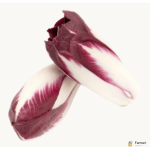 Chicory Red