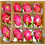 Dragon Fruit Red Box