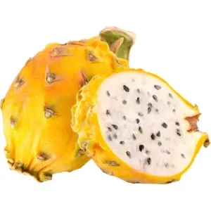 Dragon Fruit Yellow / Pithaya Yellow
