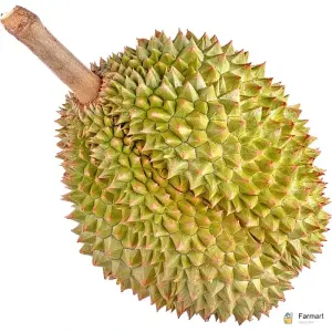 Durian