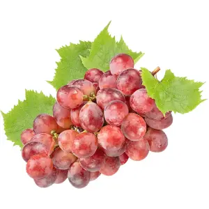 Grapes Red Globe