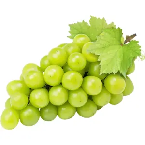 Grapes White Shine Muscat