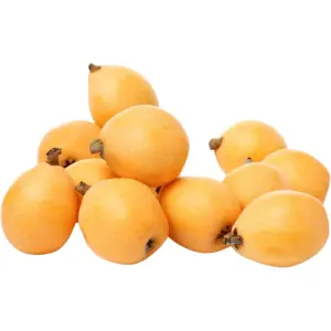 Loquat – Japanese Plum