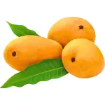 Mango Chaunsa Premium