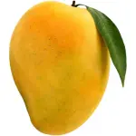 Mango Fass