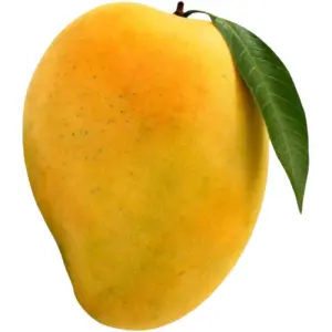 Mango Fass