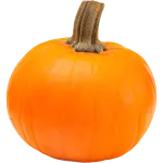 Wee-be-little Pumpkin