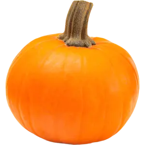 Wee-be-little Pumpkin