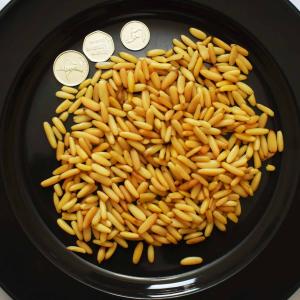 Chilgoza Pine Nuts Without Shell