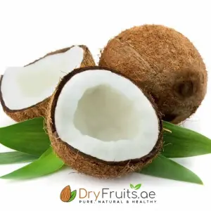 Fresh Cocunut (India)