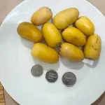 Organic Dates رطب تمر UAE