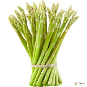 Asparagus Green Jumbo