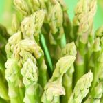 Asparagus Green Jumbo