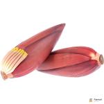 Banana Blossom Flower