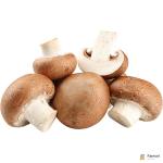 Button Mushroom Brown