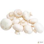 Button Mushroom White