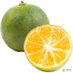Calamansi
