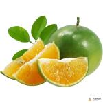 Calamansi