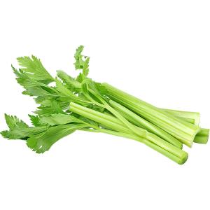 Celery