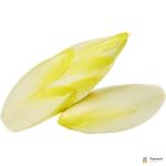 Chicory White