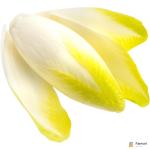 Chicory White