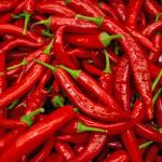 Chili Red Long