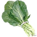 Collard Leaves | Sukuma