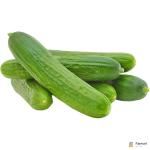 Cucumber Local