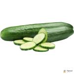 Cucumber