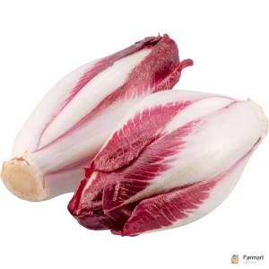 Endive Red