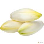 Endive White
