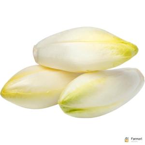 Endive White