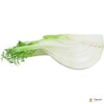 Fennel