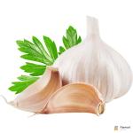 Garlic India