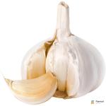 Garlic India