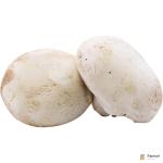 Giant Mushroom