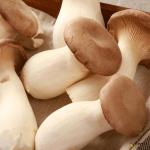 King Oyster Mushroom